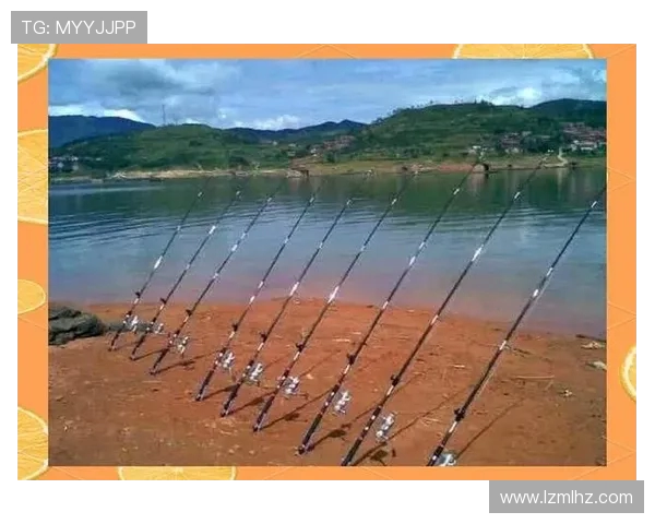 攀岩新手必看：从零开始的比赛经验与技巧全面指南