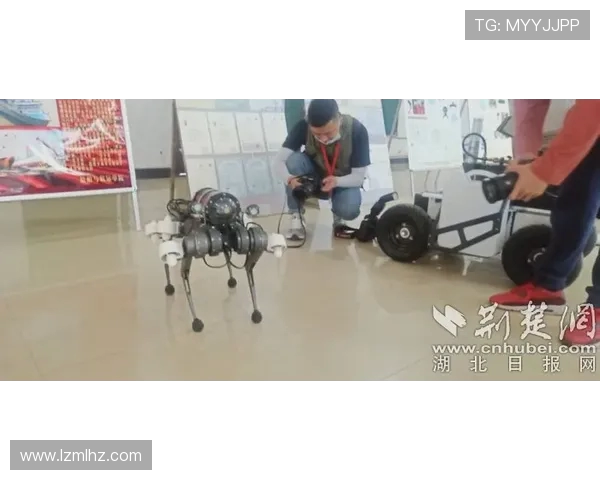 武汉飞盘队与深圳飞盘队速度较量赛后分析与战术总结